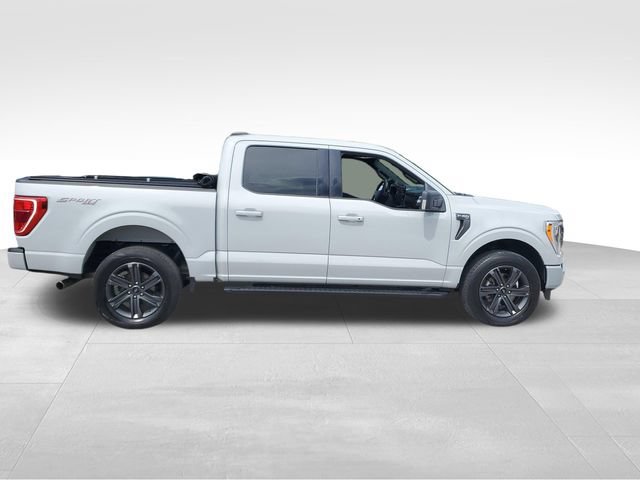 Used 2023 Ford F150 XLT w/ Equipment Group 302A High AWD/4WD image 3