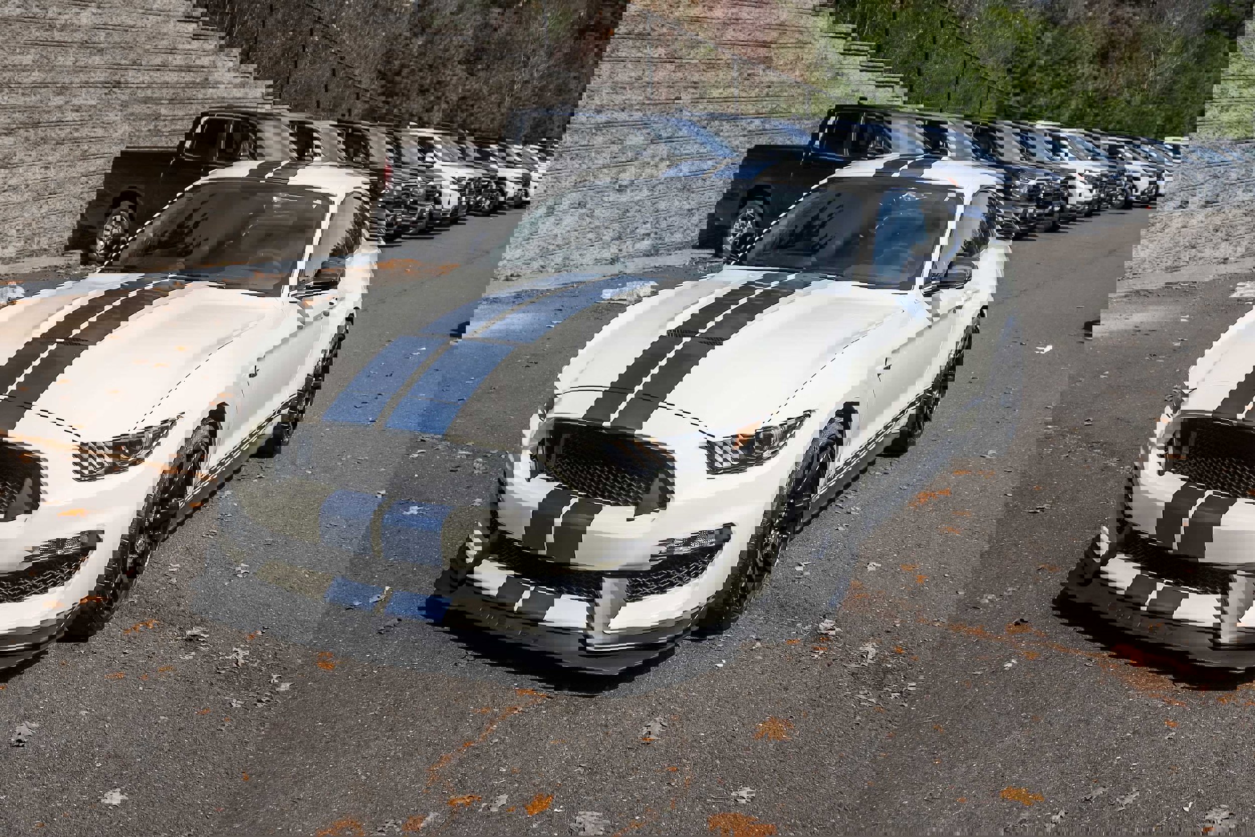 Used 2020 Ford Mustang Shelby GT350R w/ GT350R Equipment Group 920A image 11