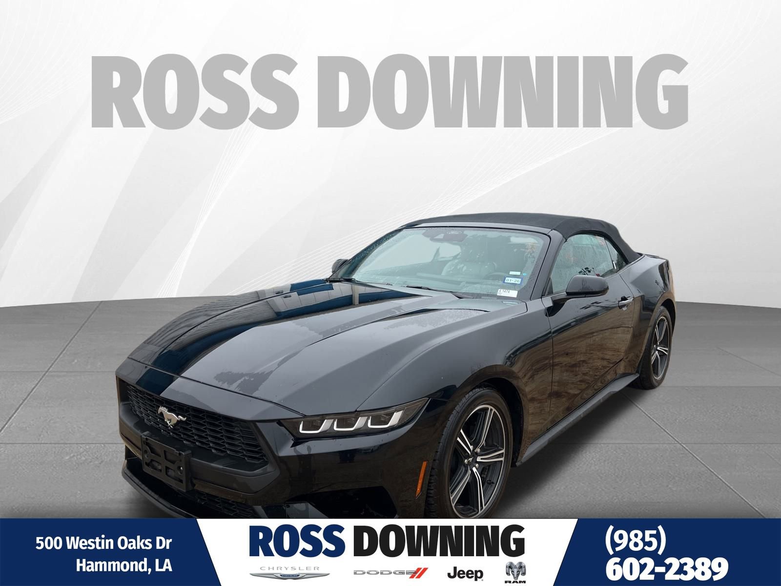 Used 2024 Ford Mustang Premium image 1