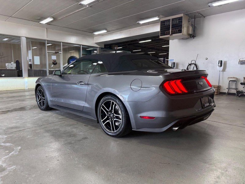 Certified 2021 Ford Mustang Premium image 9