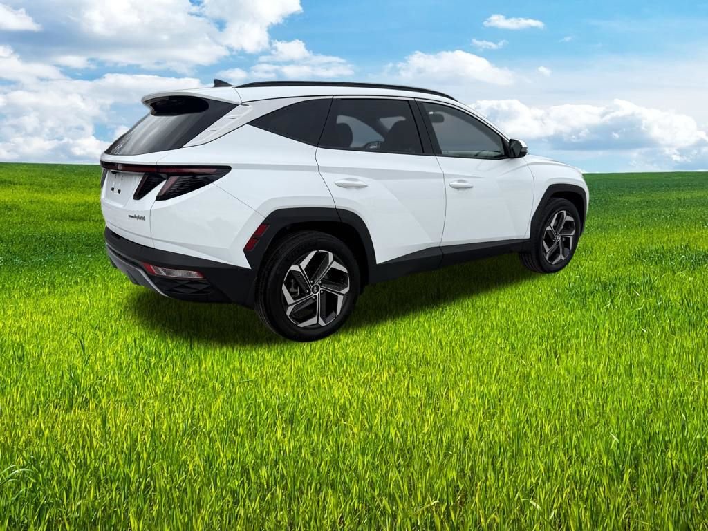 Used 2024 Hyundai Tucson Limited AWD/4WD image 5