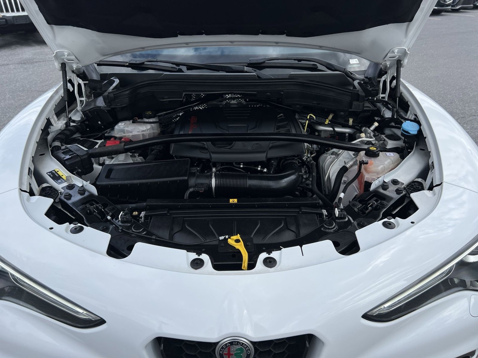 Used 2023 Alfa Romeo Stelvio Veloce image 28