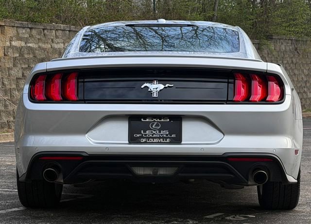 Used 2019 Ford Mustang Premium w/ Equipment Group 201A RWD image 4