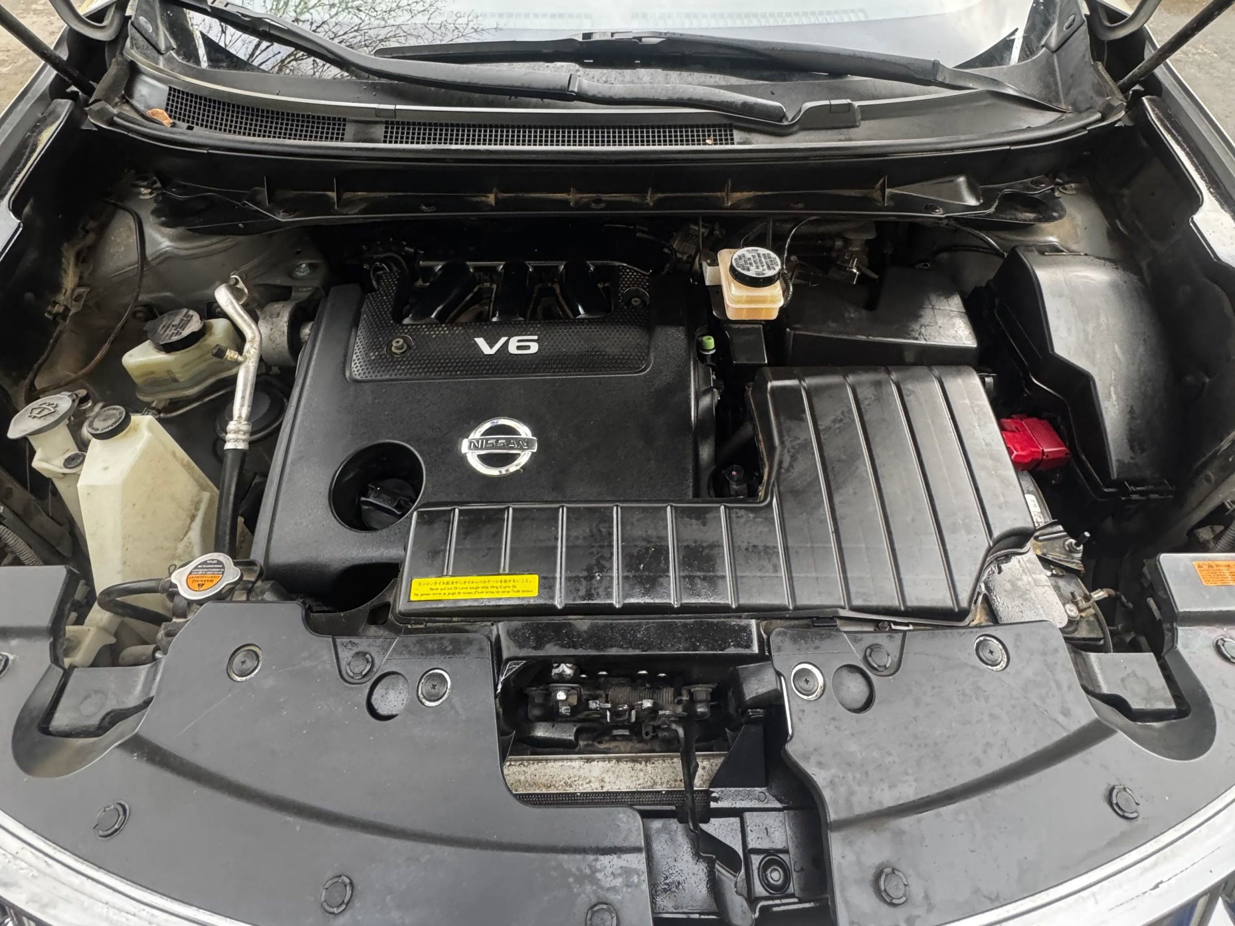 Used 2010 Nissan Murano LE w/ Navigation Pkg image 14