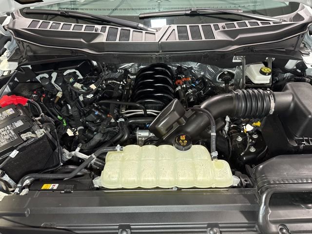 Used 2025 Ford F150 XLT w/ Equipment Group 301A Standard image 4