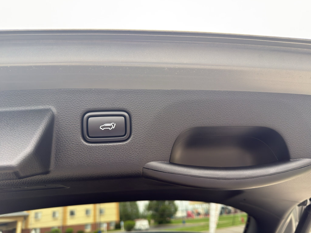 Used 2025 Kia Seltos EX w/ EX Sunroof Package AWD/4WD image 7
