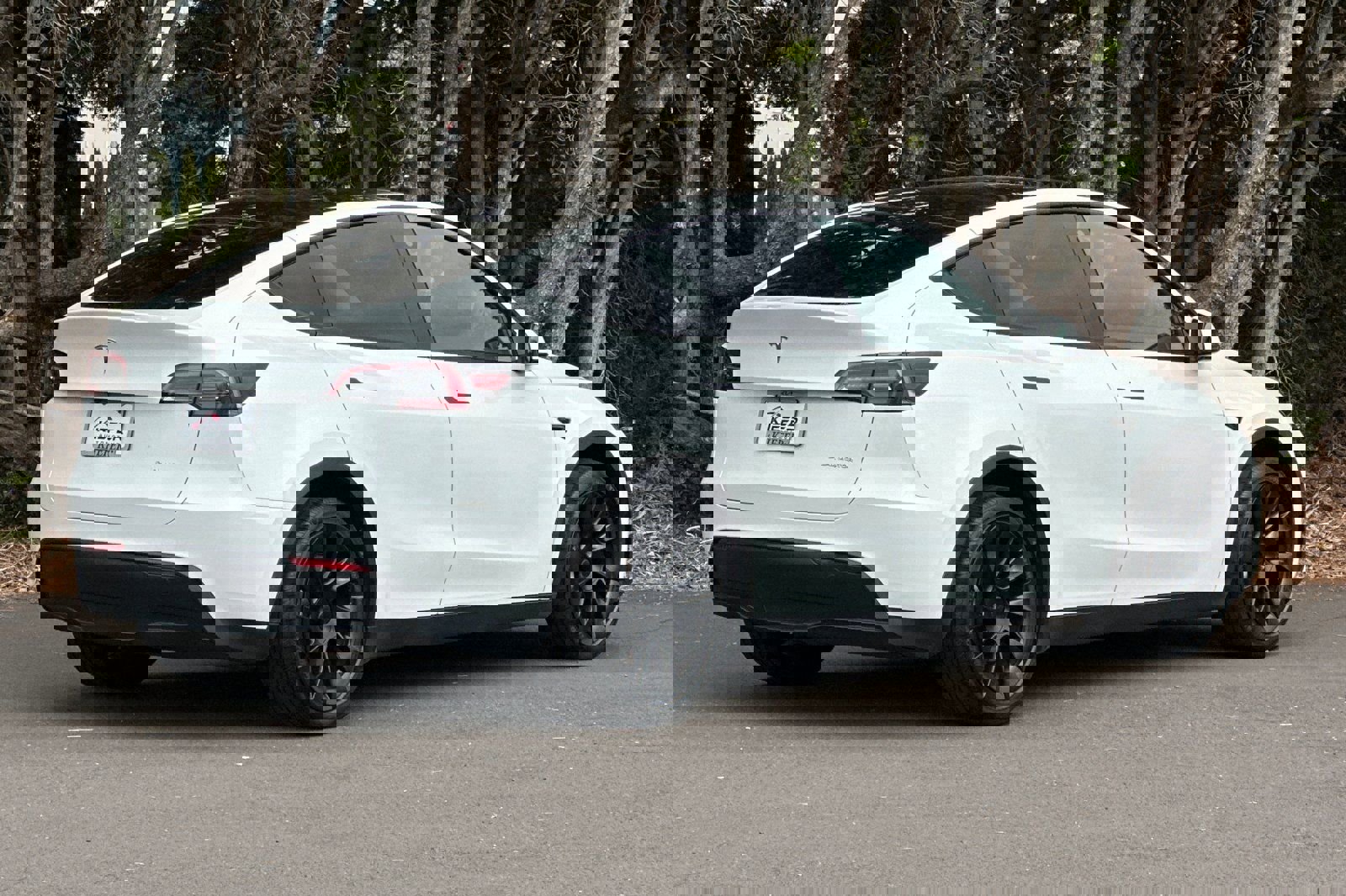 Used 2023 Tesla Model Y Long Range image 4