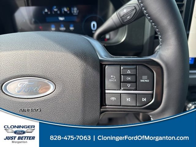 New 2025 Ford F250 Platinum image 24