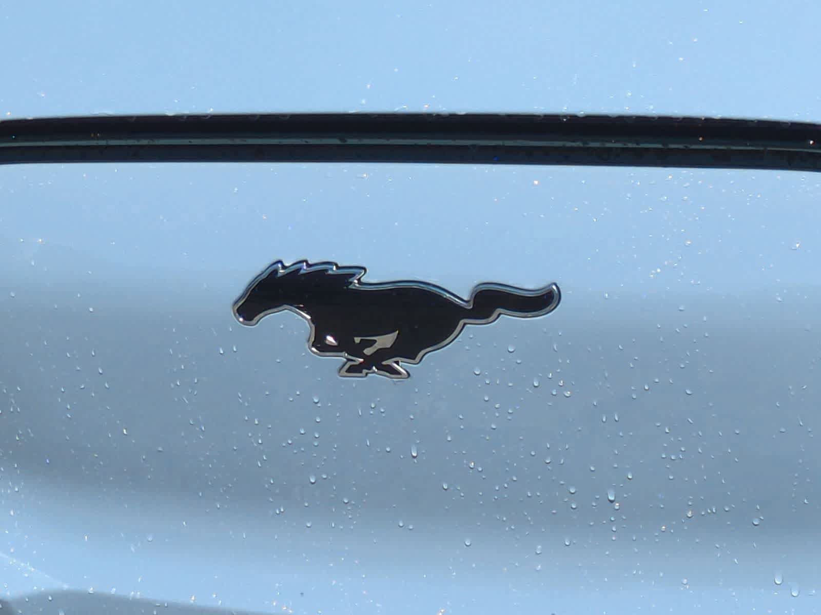 New 2026 Ford Mustang Mach-E Premium AWD/4WD image 12