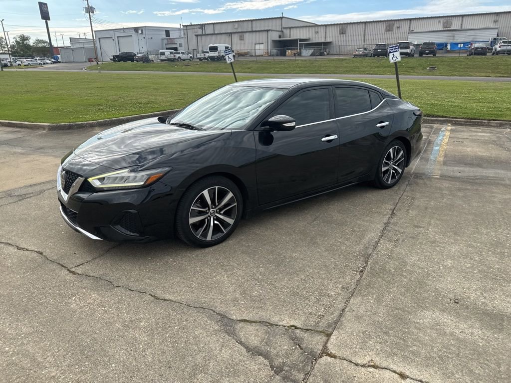 Used 2019 Nissan Maxima 3.5 SV w/ Floor Mat Group image 6