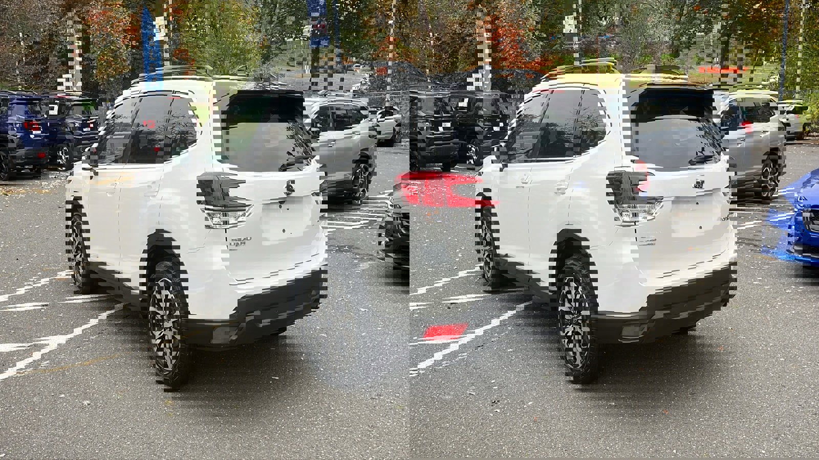 Certified 2024 Subaru Forester Limited image 5