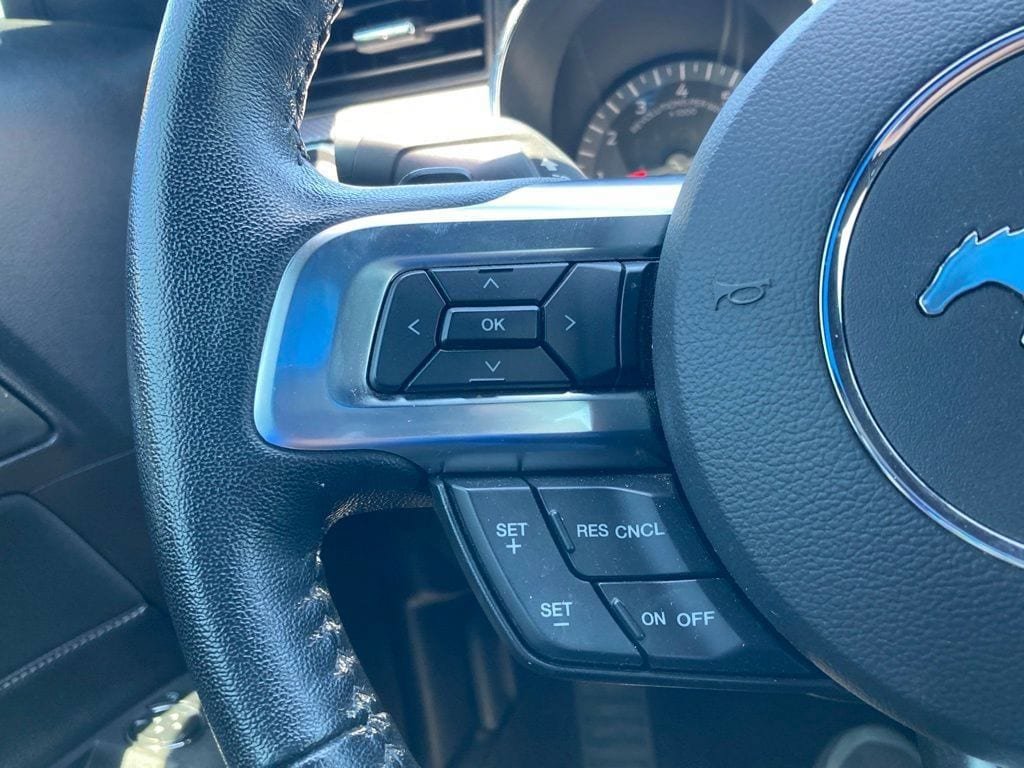 Used 2017 Ford Mustang GT w/ Enhanced Security Package RWD image 13