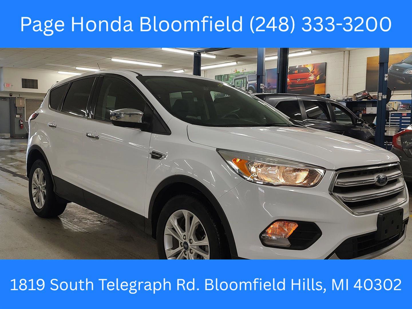 Used 2019 Ford Escape SE image 1