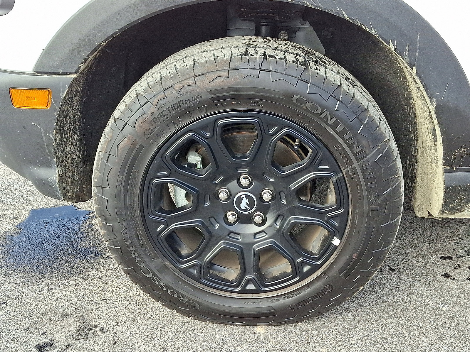 Certified 2025 Ford Bronco Sport Badlands image 9