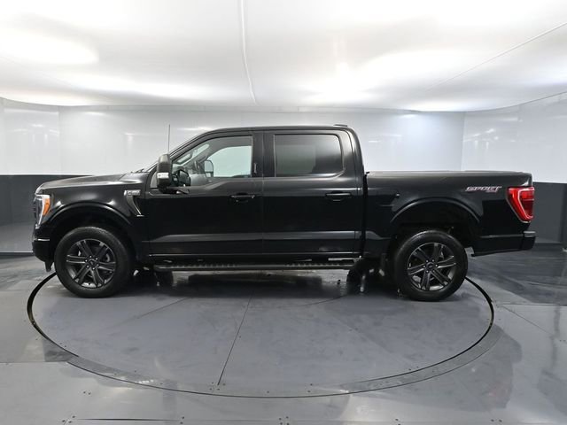 Used 2023 Ford F150 XLT w/ Equipment Group 302A High image 11