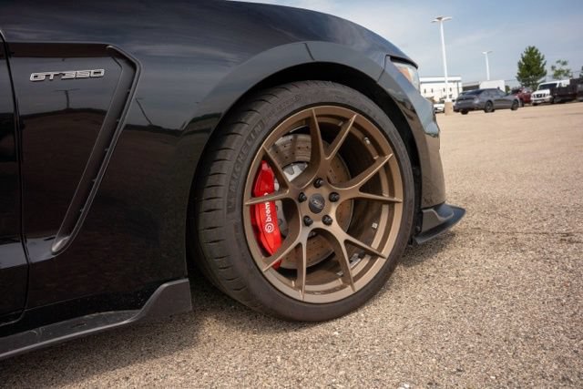 Used 2016 Ford Mustang Shelby GT350R RWD image 9