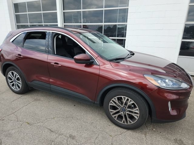 Used 2021 Ford Escape SEL FWD image 4
