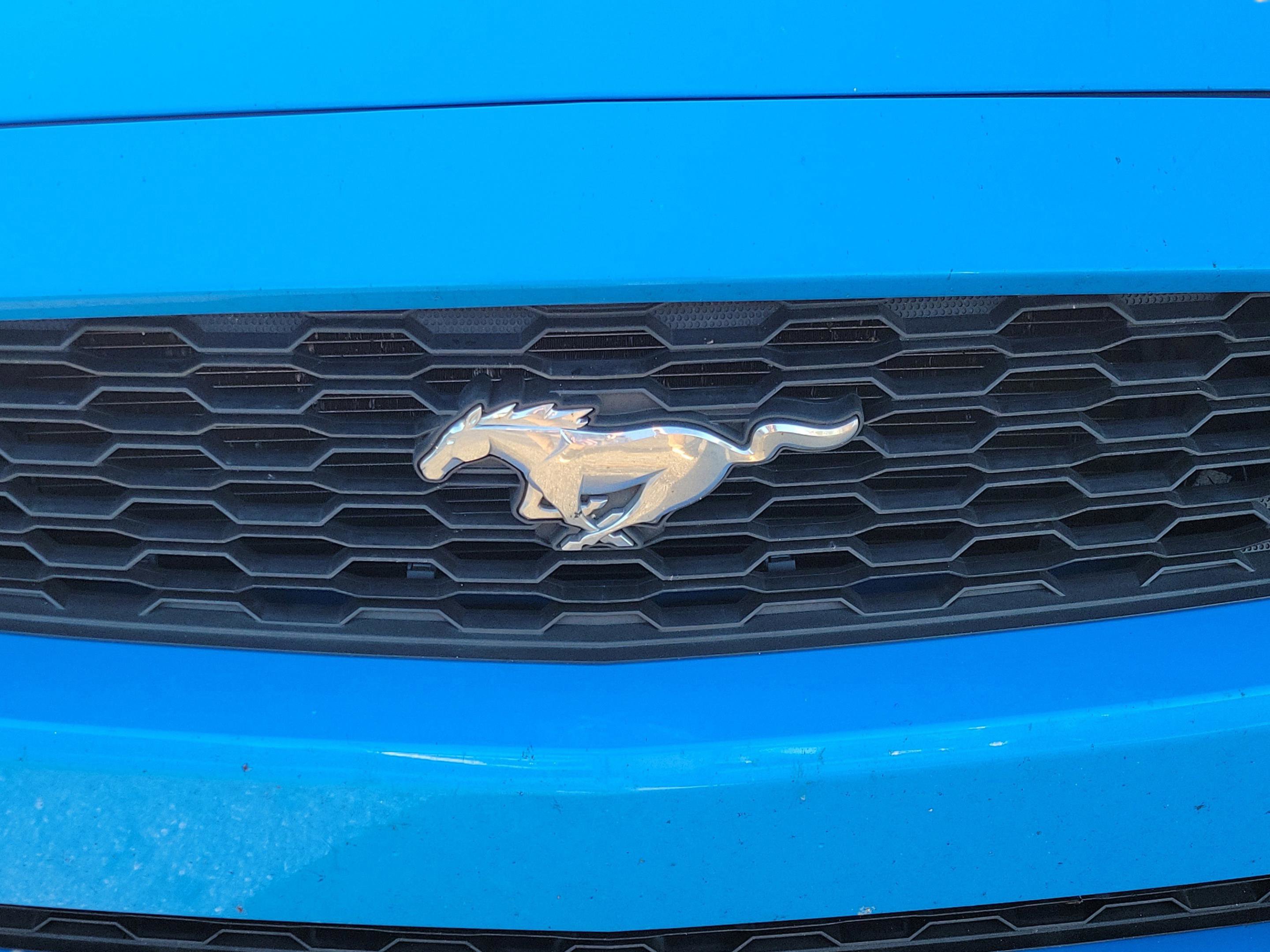 Used 2017 Ford Mustang Premium image 11