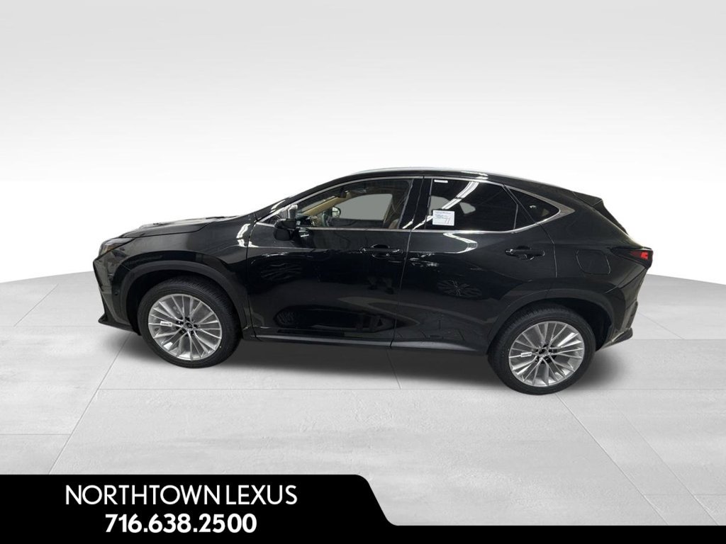 New 2026 Lexus NX 350 AWD w/ Cold Area Package image 5
