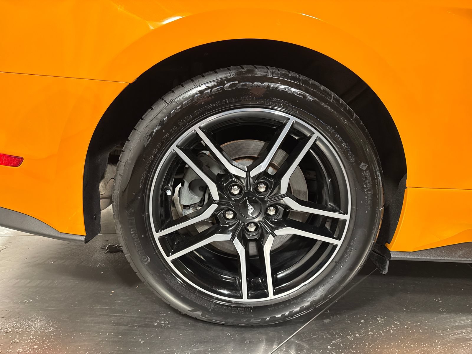Used 2019 Ford Mustang GT RWD image 14