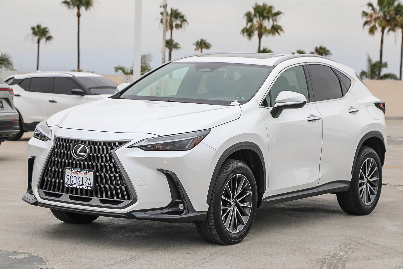 Used 2024 Lexus NX 350 AWD image 3