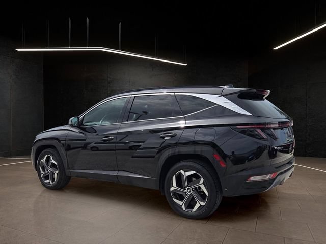 Used 2024 Hyundai Tucson Limited AWD/4WD image 5