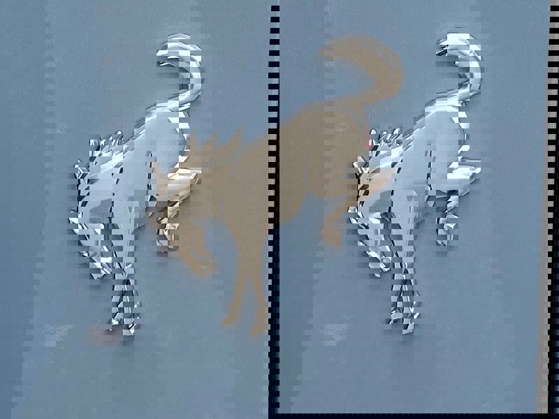 Certified 2024 Ford Bronco Badlands image 11