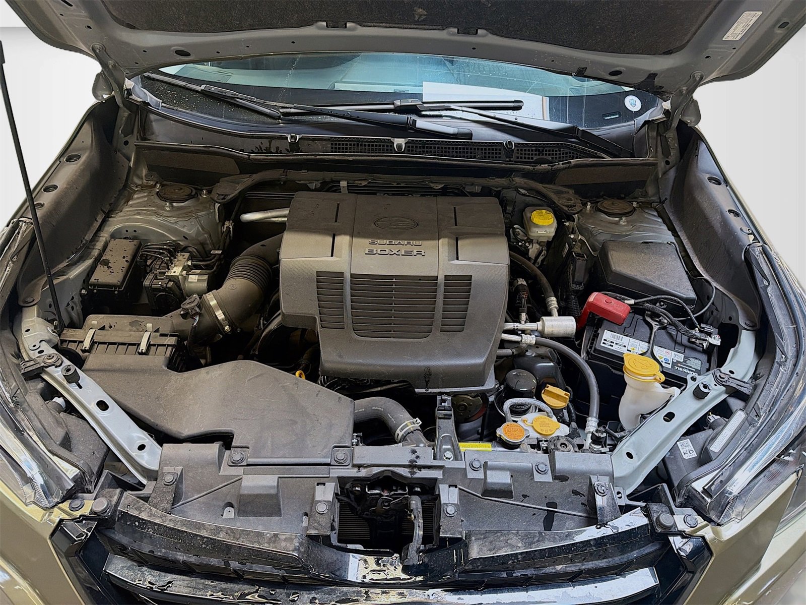 Used 2024 Subaru Forester Limited image 32