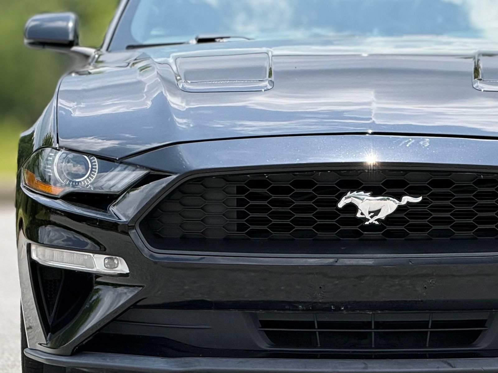 Used 2019 Ford Mustang Premium RWD image 14