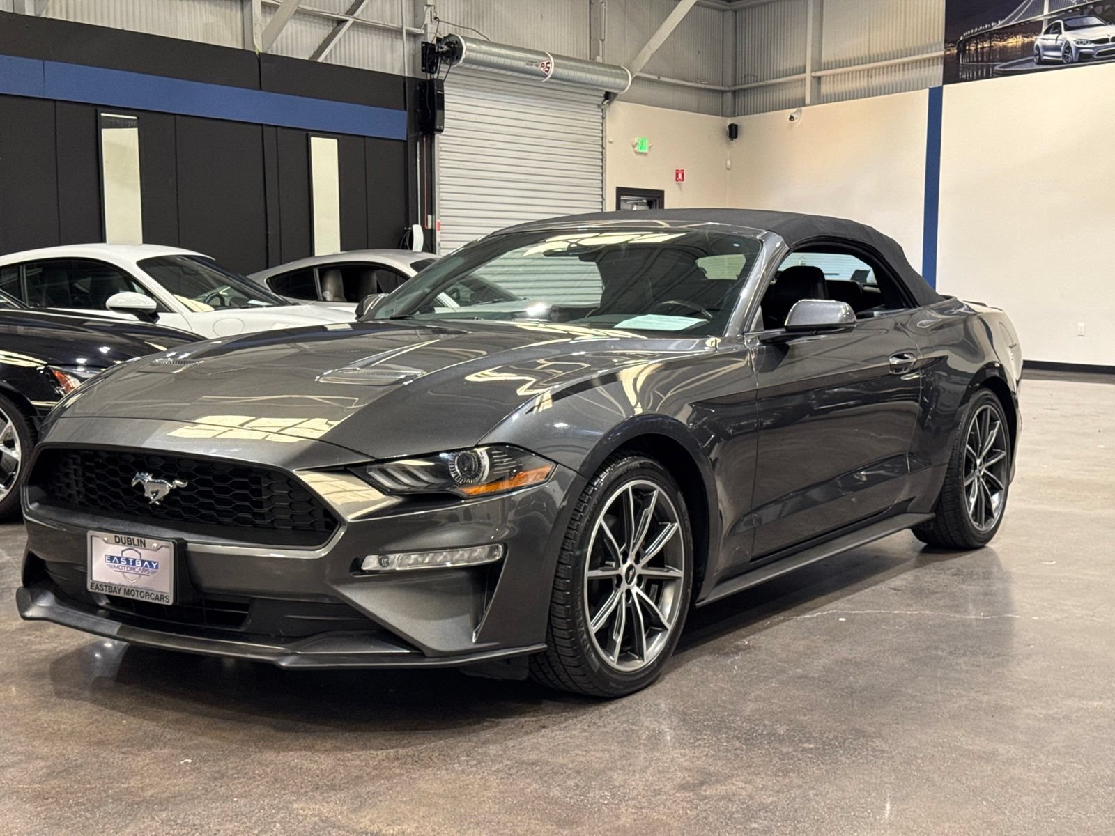 Used 2019 Ford Mustang Premium w/ Equipment Group 201A RWD image 8