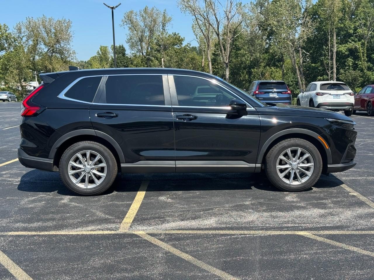 Certified 2024 Honda CR-V EX image 3