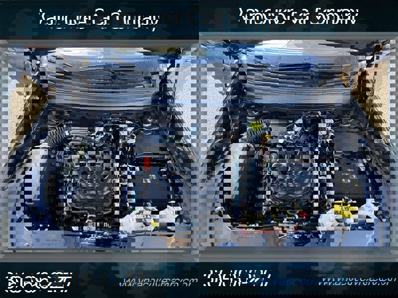 Used 2019 Jeep Cherokee Latitude Plus w/ Cold Weather Group image 10