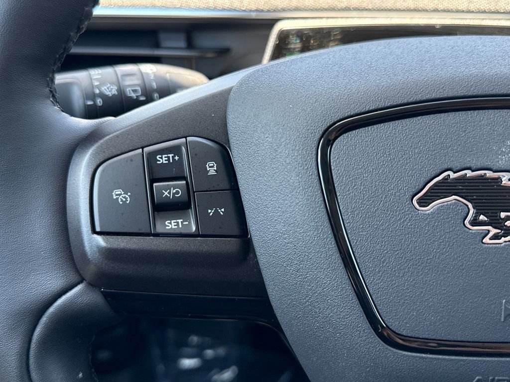Used 2025 Ford Mustang Mach-E Premium RWD image 16