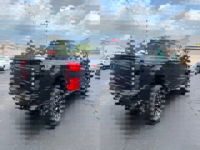 New 2025 Ford F250 Platinum image 12