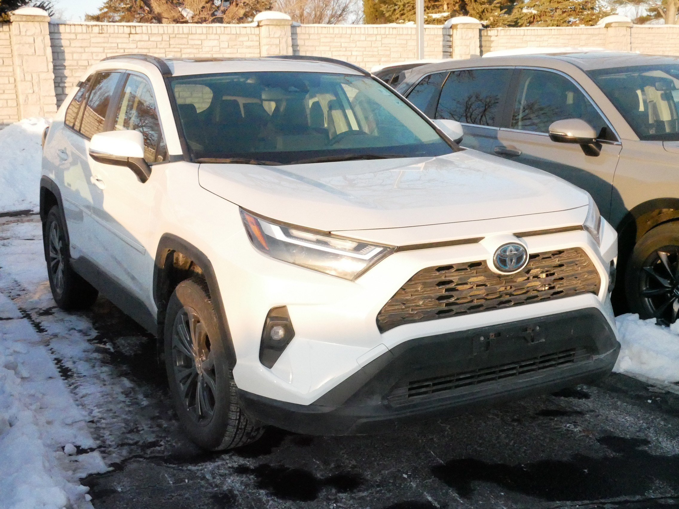 Used 2022 Toyota RAV4 XLE Premium image 3