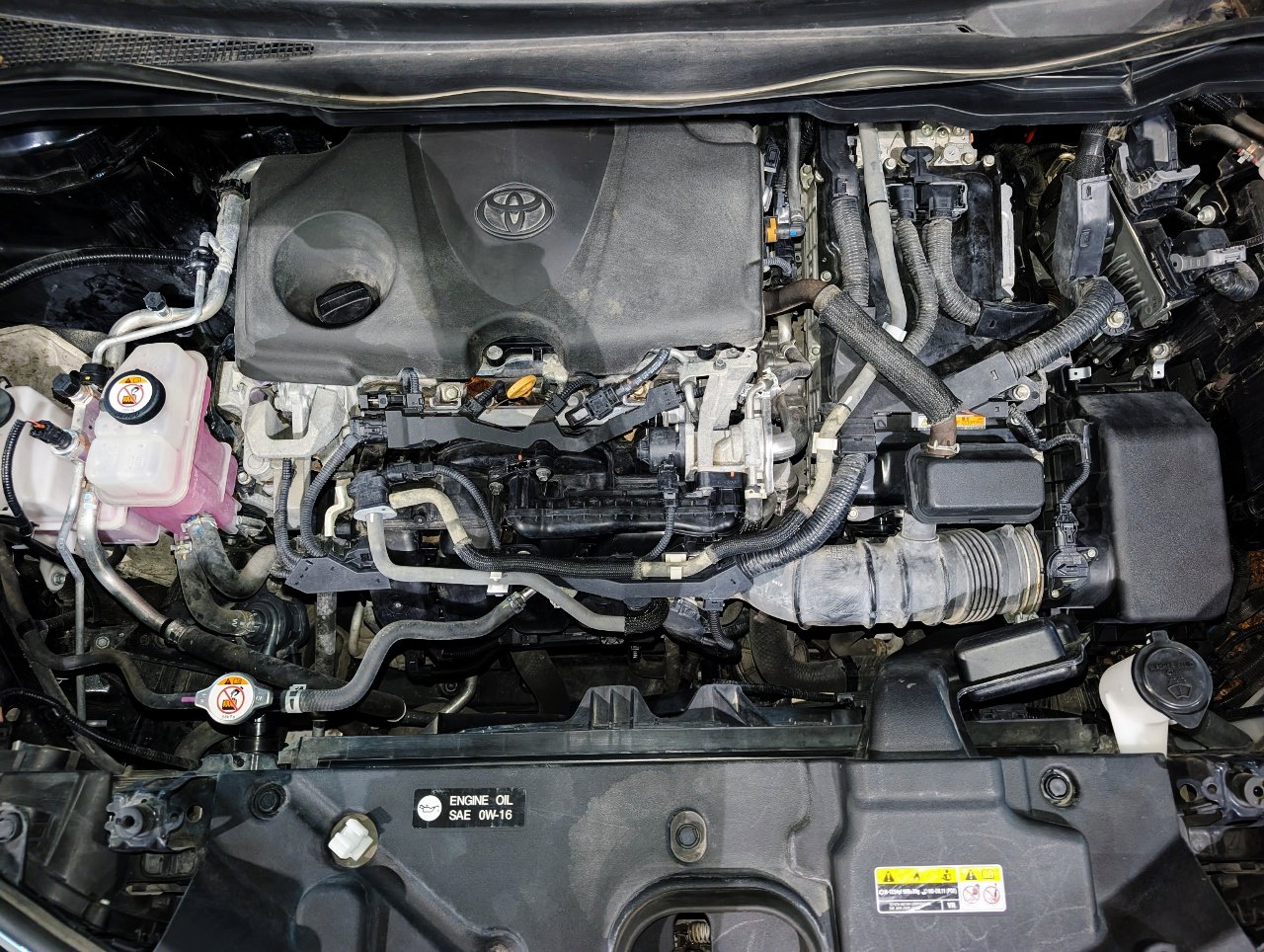 Used 2021 Toyota Sienna XLE w/ XLE Plus Package FWD image 52