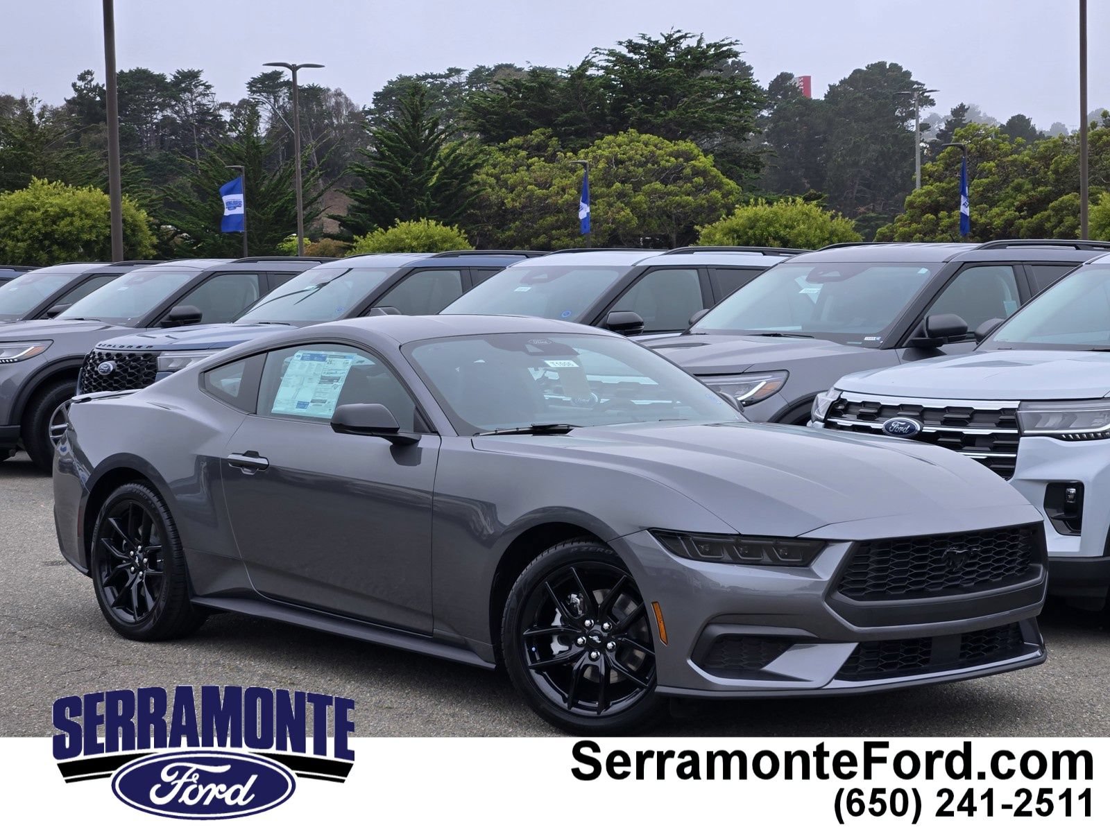 New 2026 Ford Mustang Coupe w/ Mustang Nite Pony Package