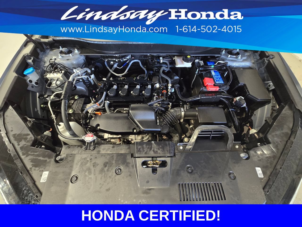 Certified 2025 Honda CR-V EX image 25