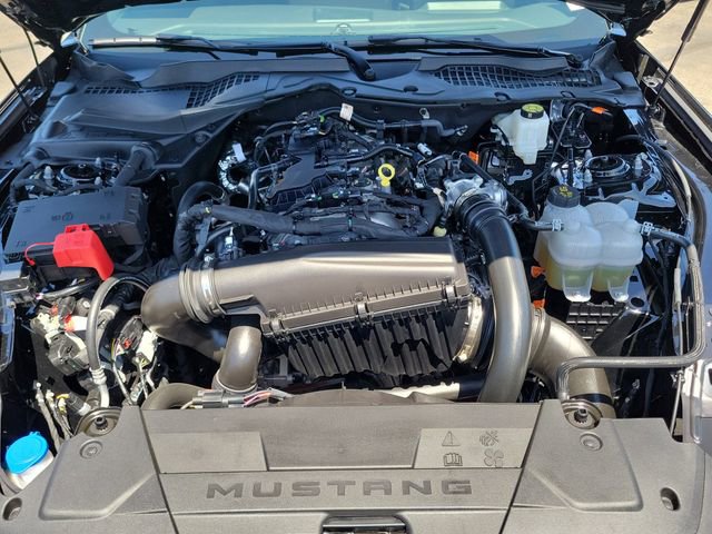 Used 2026 Ford Mustang Premium w/ Mustang Nite Pony Package RWD image 21