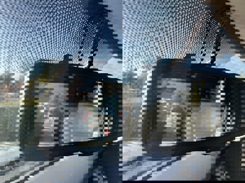 Used 2010 Ford F150 FX4 AWD/4WD image 20