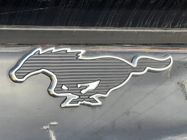 New 2025 Ford Mustang Mach-E GT w/ Interior Protection Package image 48