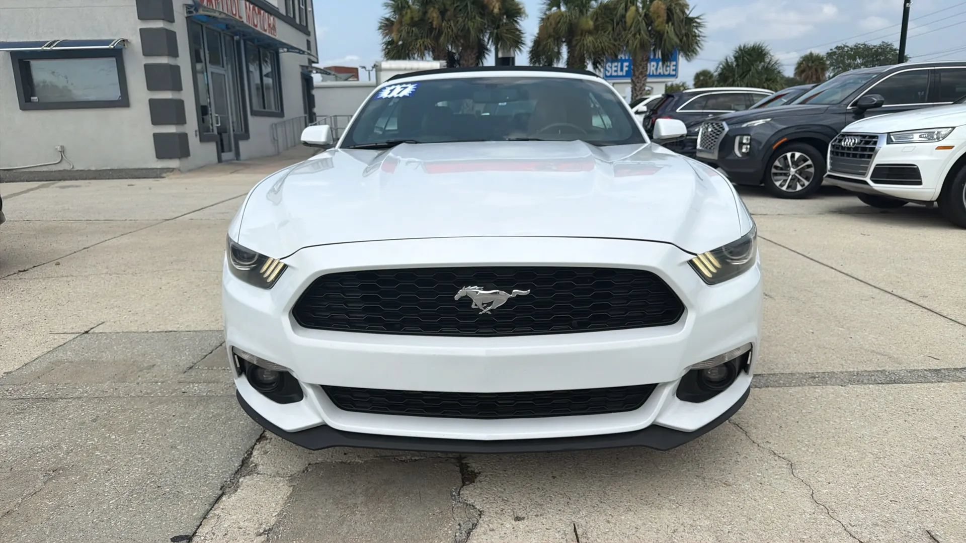 Used 2017 Ford Mustang Premium RWD image 8