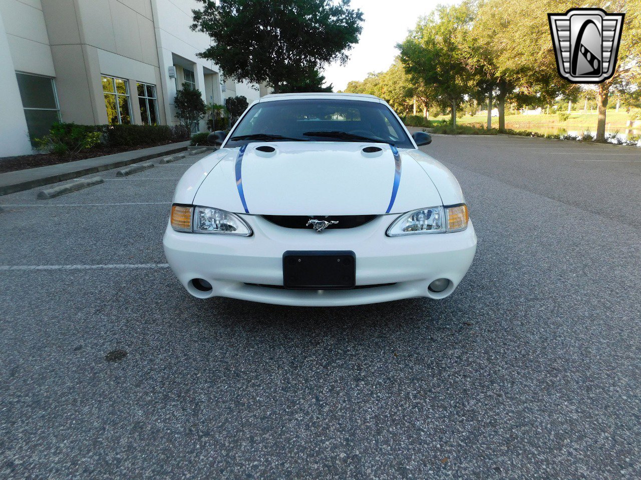 Used 1997 Ford Mustang Cobra image 2