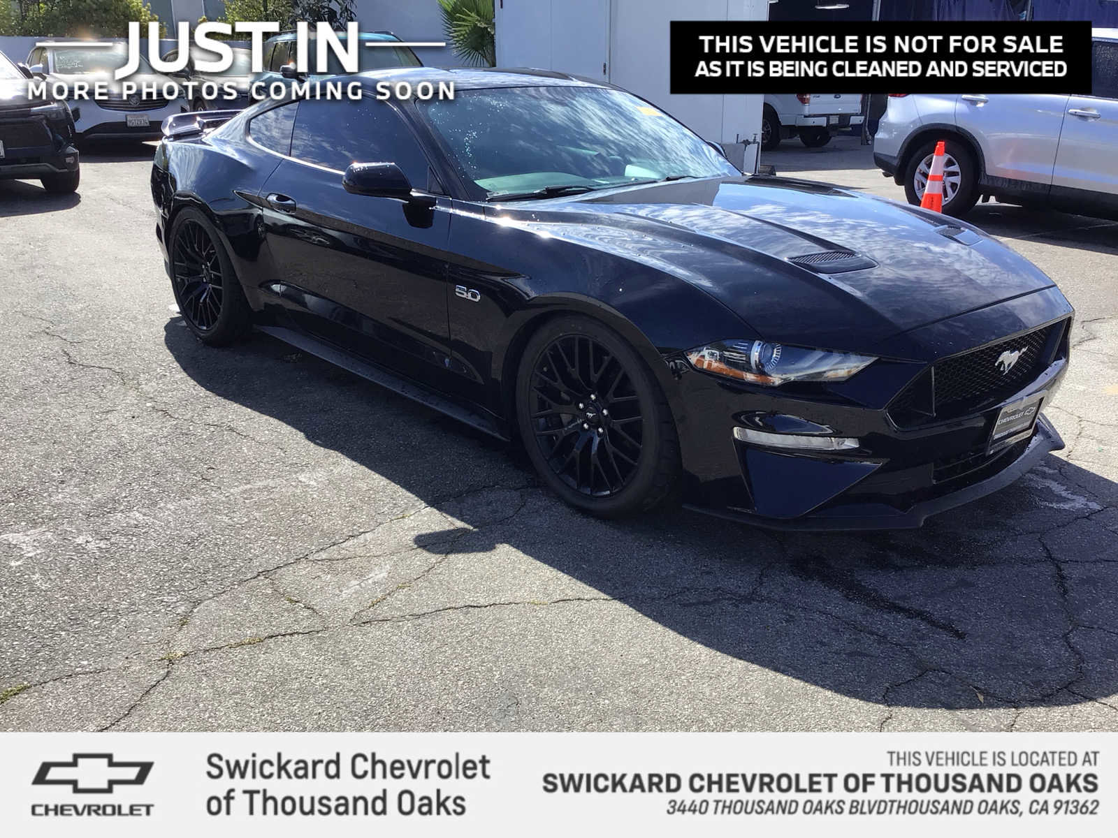 Used 2019 Ford Mustang GT w/ Equipment Group 301A image 1