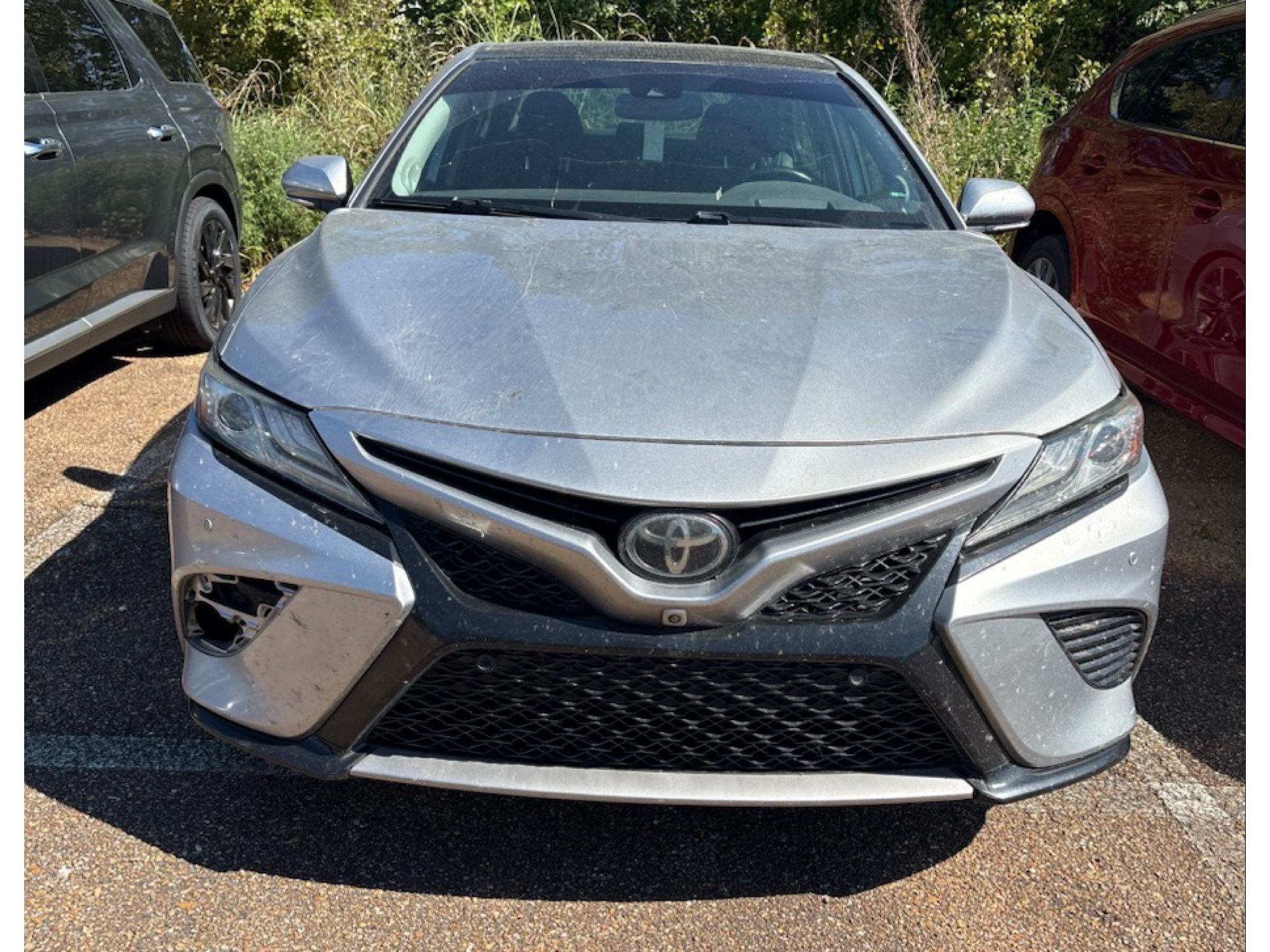 Used 2019 Toyota Camry XSE FWD image 2