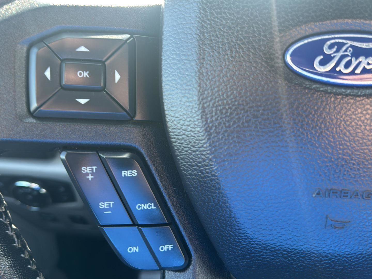 Used 2019 Ford F150 XLT w/ Equipment Group 302A Luxury AWD/4WD image 12