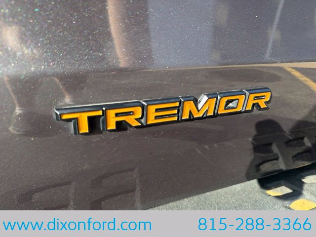 Used 2025 Ford Expedition Tremor AWD/4WD image 34