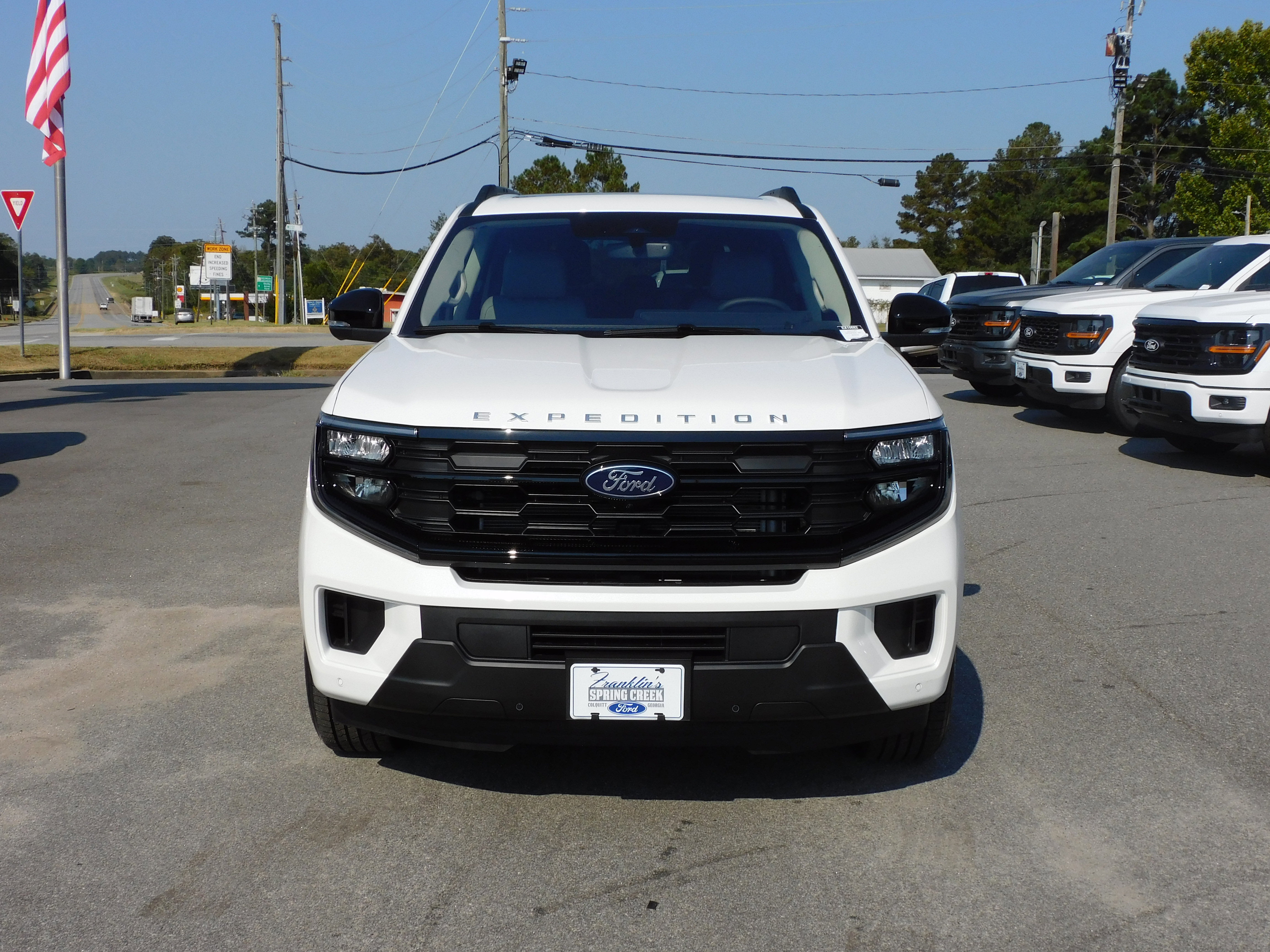 New 2025 Ford Expedition Active image 3