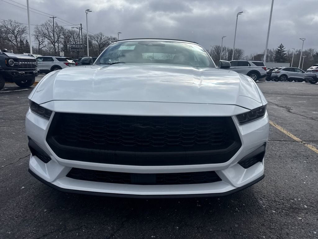 Used 2025 Ford Mustang Premium image 3