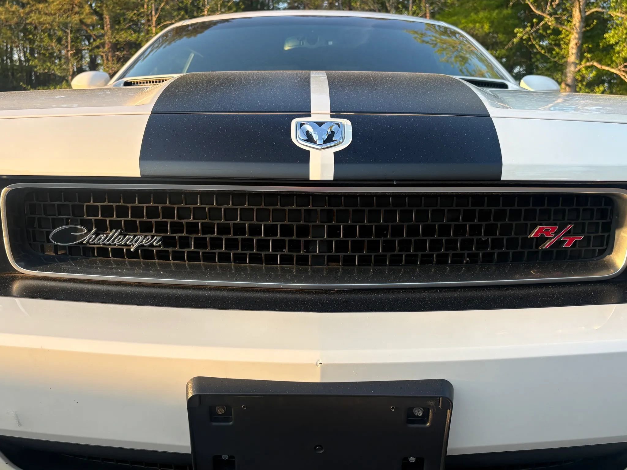Used 2010 Dodge Challenger R/T RWD image 8